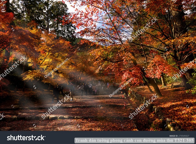 Tranh dán tường phong cảnh con đường mùa thu T321-305